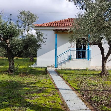 Coral Villas Kómboi Buitenkant foto